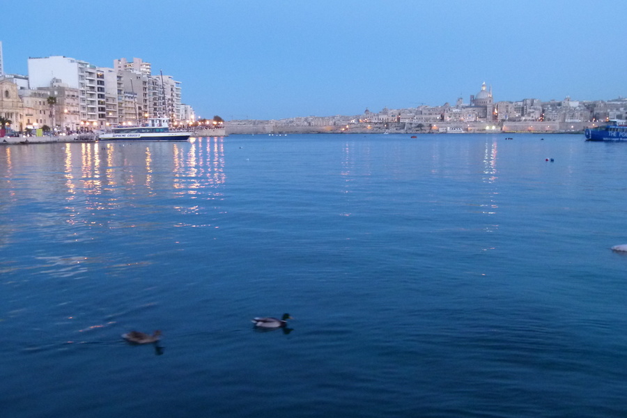 P1150931.JPG